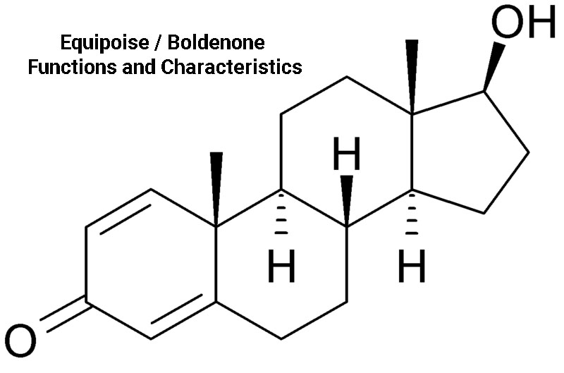 Equipoise / Boldenone Functions and Characteristics