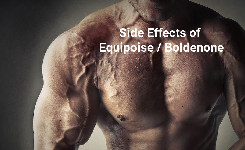 Side Effects of Equipoise / Boldenone