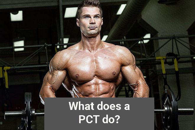 What does a PCT do